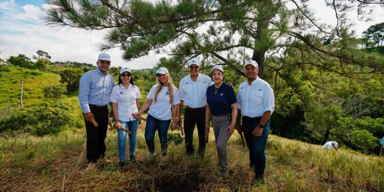 Un bosque de esperanza: Voluntarios del Banco Popular reviven La Sierra
