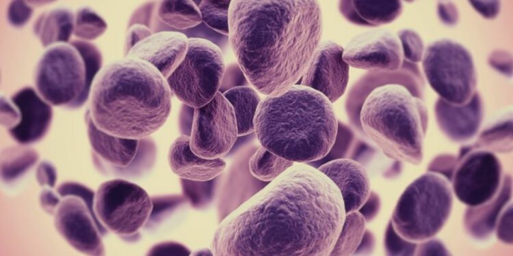 RD con dos innovadoras terapias para tratar el cáncer de pulmón y mieloma múltiple