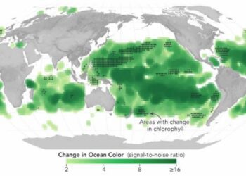 Cambio de color en los océanos: Evidencia del impacto del calentamiento global