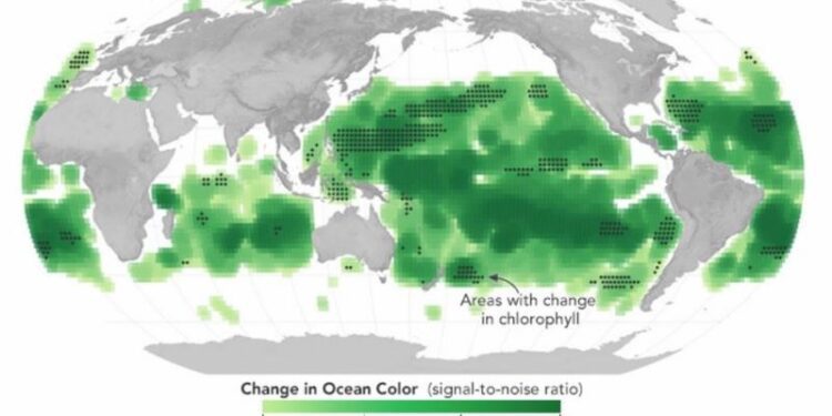 Cambio de color en los océanos: Evidencia del impacto del calentamiento global