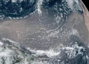 Tormentas de polvo: Un camino para la propagación global de patógenos vegetales