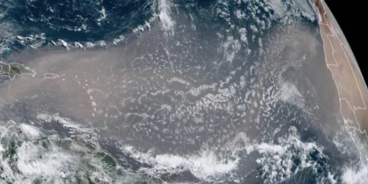 Tormentas de polvo: Un camino para la propagación global de patógenos vegetales