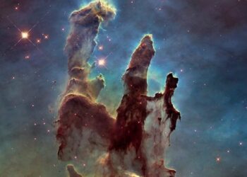 Descubren una "Ley Perdida de la Naturaleza" que rige la evolución en todos los niveles