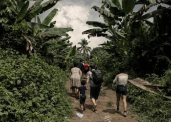 Más de 50 proyectos postulados para operar bajo incentivos en zona fronteriza