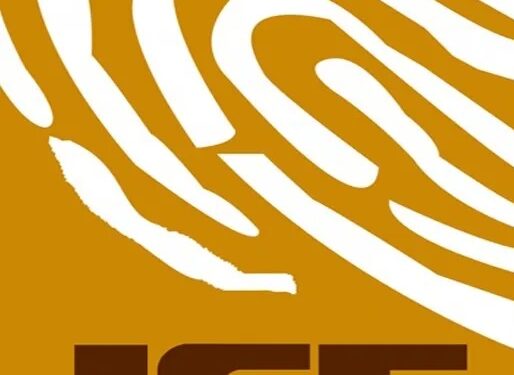 JCE empadrona en estado NY; ciudad registra más votantes que 5 provincias RD