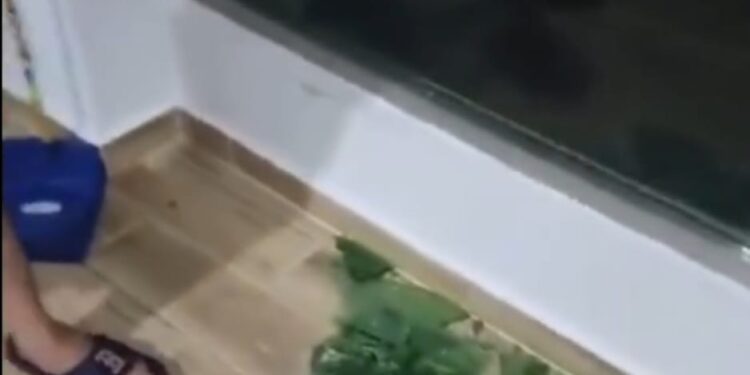 Incidente en residencia de médico desencadena investigación de la Policía Nacional