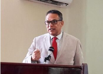 Organizando un espacio en el Leviatán, para los políticos y funcionarios para garantizar el buen gobierno                           