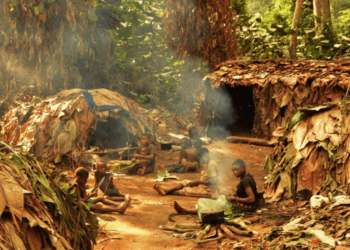 Bebés de cazadores-recolectores: Nueve horas de cuidado y atención diaria