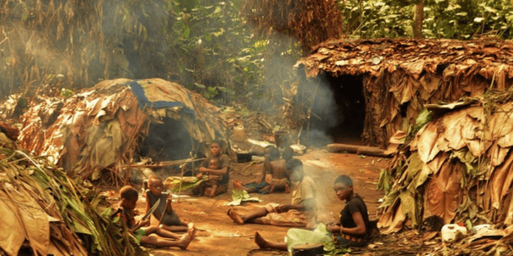 Bebés de cazadores-recolectores: Nueve horas de cuidado y atención diaria