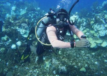 Jamaica y RD sedes de capacitaciones clave para la protección de arrecifes de Coral