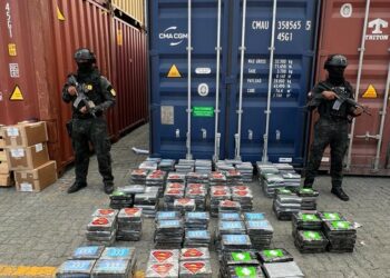 Un nuevo golpe al narcotráfico en la provincia Santo Domingo