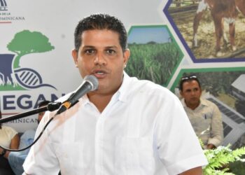 FENARROZ solicita a Pro Consumidor vigilar precios del arroz ante alzas especulativas