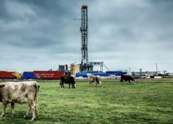 Revelando los costos ocultos de la alimentación: Un estudio de la FAO