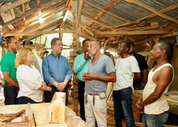 Leonel Fernández escucha las preocupaciones de los ebanistas de Barahona