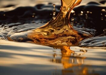 Empresarios de Combustibles defienden calidad de carburantes en RD