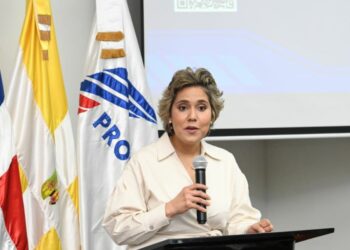 Revelan el impacto de las plataformas digitales en el comercio de vehículos durante 2010-2021