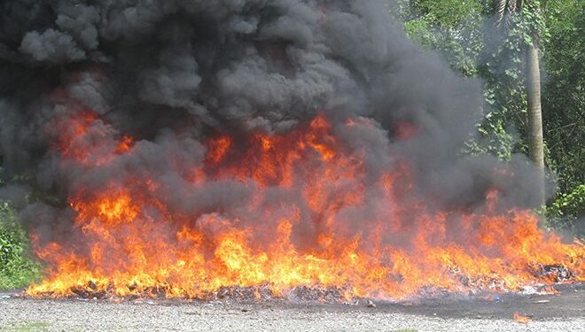 La Procuraduría incinera la casi tonelada y media de droga incautada en Baní