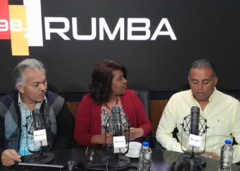 Importadores de vehículos usados piden revisión de decreto presidencial