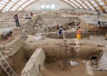 “El verdadero potencial de la especie humana está en su capacidad cultural, más que en su inteligencia”