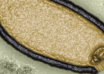Advierten calentamiento global podría descongelar virus antiguos y una mortal pandemia