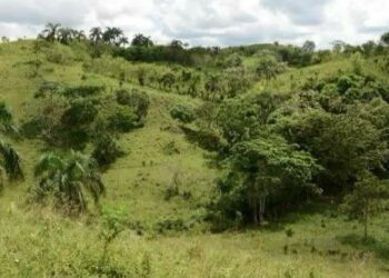 El CEA será convertido en un Fideicomiso Público de Infraestructura