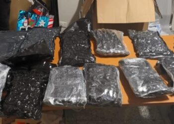 Incautan once paquetes de marihuana tras alerta canina en el Aeropuerto de las Américas