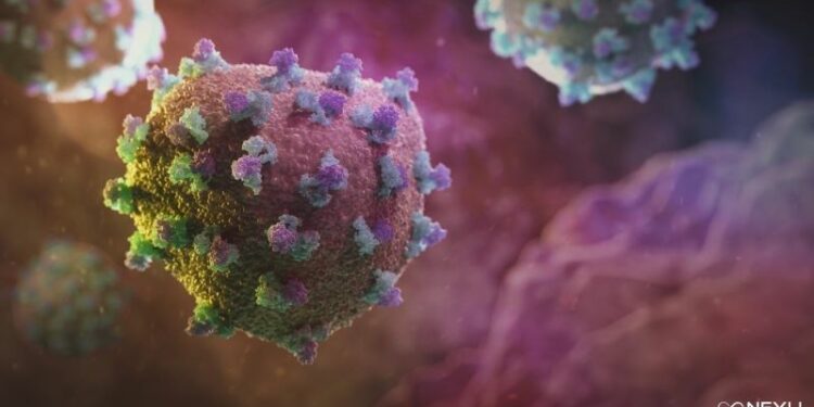 El riesgo de las personas que eliminan la hepatitis C de forma espontánea