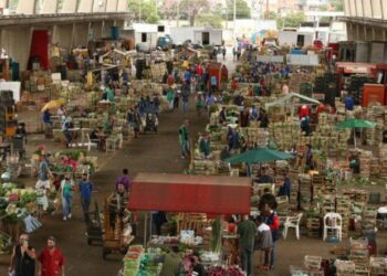 La economía mundial crecerá poco en 2024