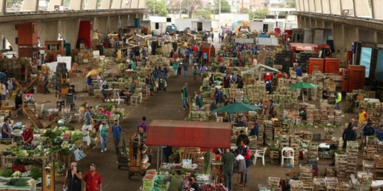 La economía mundial crecerá poco en 2024