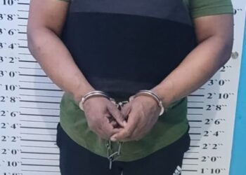 Extraditan a dominicano acusado de homicidio en Nueva York.