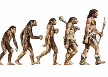 Un estudio desvela nueva información sobre cómo los humanos aprendieron a andar