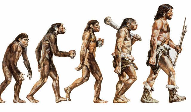 Un estudio desvela nueva información sobre cómo los humanos aprendieron a andar