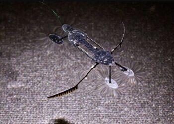 Avances revolucionarios en Microrobótica: Presentan los micro-robots más pequeños y rápidos 