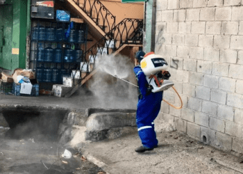 Tras intoxicación en Piantini, ANMPU propone medidas para garantizar uso seguro de insecticidas 