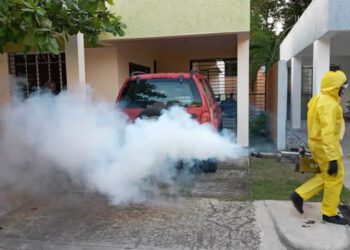 Tras incidente mortal, ONPECO propone creación de nuevo protocolo para fumigar hogares