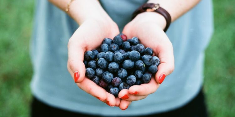 ¿Los suplementos para la salud cerebral funcionan?