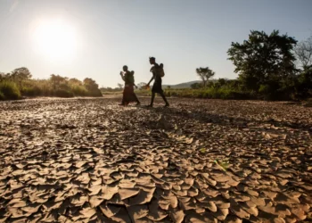 El año 2024 estrenó el enero más cálido jamás registrado