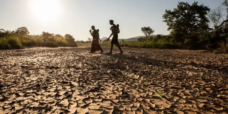 El año 2024 estrenó el enero más cálido jamás registrado