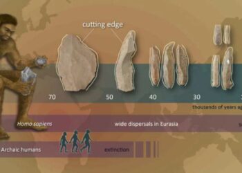 La evolución tecnológica y cultural del Homo Sapiens: Un proceso gradual y complejo