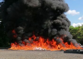 Más de 300 kilogramos de drogas incinerados en Pedro Brand