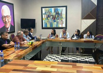 PLD denuncia a delegación de la OEA abusos de recursos públicos en campaña