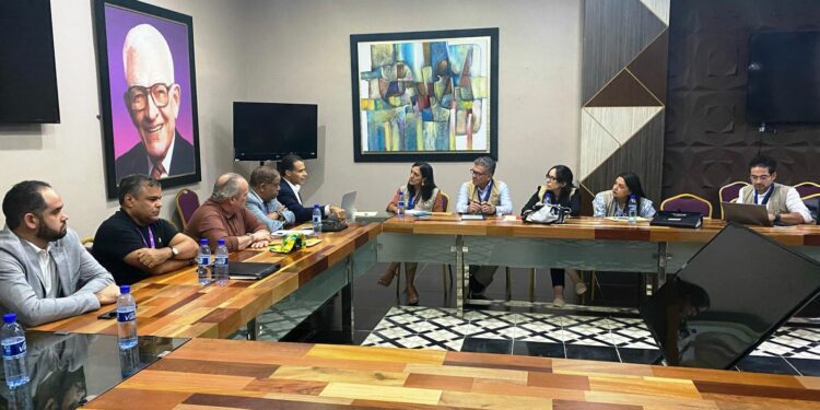 PLD denuncia a delegación de la OEA abusos de recursos públicos en campaña