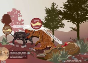 El éxito de los primeros depredadores terrestres: Necesidad de un instinto asesino