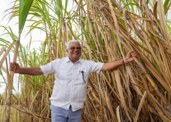 El CEA comprometido con 200,000 toneladas de caña de azúcar para el 2024