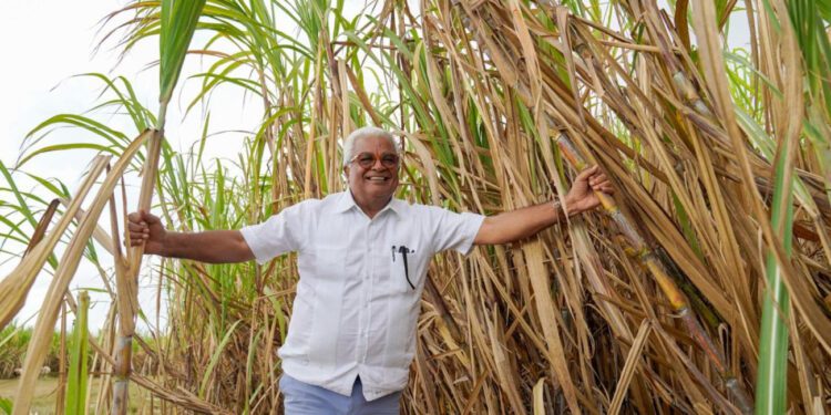 El CEA comprometido con 200,000 toneladas de caña de azúcar para el 2024