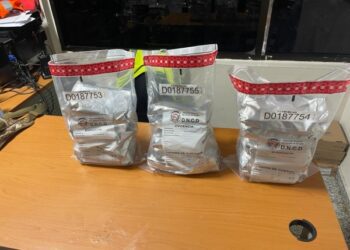 Frustrado envío de marihuana desde Miami a Santo Domingo 