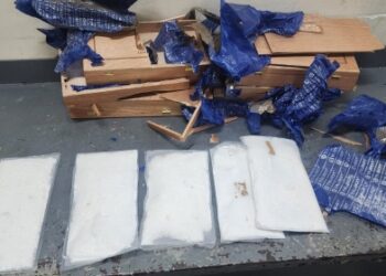 Interceptan láminas de cocaína con destino Estados Unidos vía Inposdom