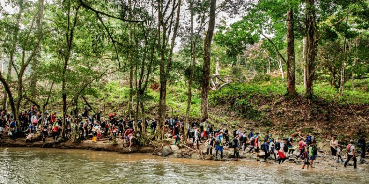 Las duras realidades de los viajes a través de la selva para migrantes venezolanos