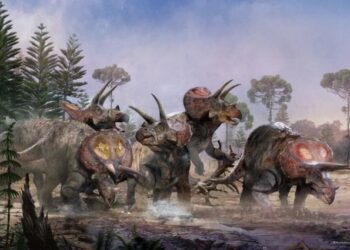 Cineasta Spielberg tenía razón: triceratops vivía en manadas