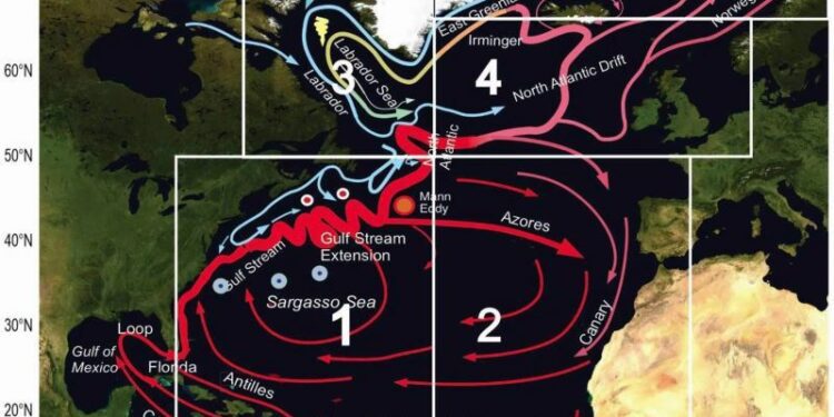 Estudio revela significativos cambios en una corriente oceánica fundamental